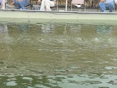 -DGE季风钓虾营地·团建·聚会