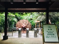 -龙达温泉生态城