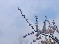 -千纸鹤嫩汁烤肉(学府店)