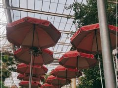 -龙达温泉生态城