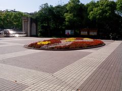 -黄兴公园