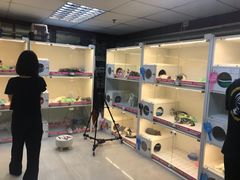 -lincat·猫舍(广州店)