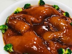 -丁老爷子苏香圆