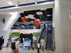 -中国宋庆龄青少年科技文化交流中心
