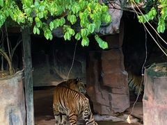 -长鹿旅游休博园