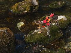 -玉渡山自然风景区