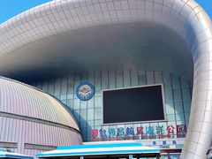-烟台海昌鲸鲨海洋公园