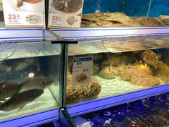 水产区-盒马鲜生(岭南新世界店)