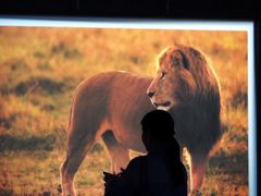 -罗红摄影艺术馆