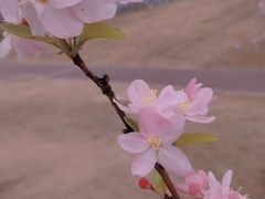 -桂溪生态公园