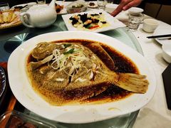 清蒸多宝鱼-双井轩(双井店)