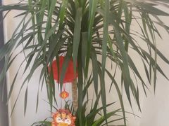 -雲己推拿院·养生SPA(江北龙湖天街店)
