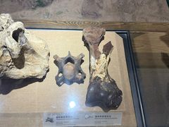 -烟台市博物馆