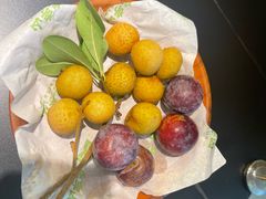 -季季山·云南野生菌火锅(上海首店)