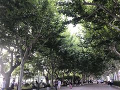 -杭州君悦酒店
