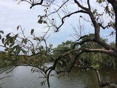 -木守西溪溪隐餐厅