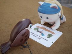 -深圳湾万象城(南山店)