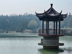 -宜兴龙背山森林公园