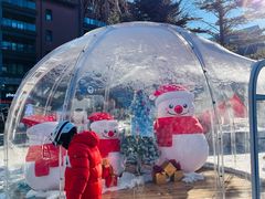 -中旅松花湖滑雪场