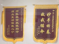 -特一安24小时宠物医院·骨科·中兽医