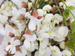 -碓臼峪自然风景区