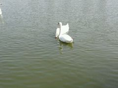 android_upload_pic-厦门日月谷温泉渡假村