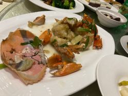 -上海绿地万豪酒店·大宴会厅