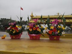 -广州莲花山旅游区