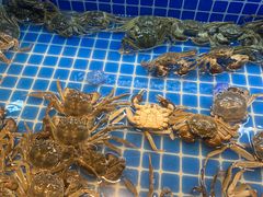 -星伦多自助料理·涮烤一体(虹悦城店)