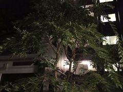 -曼谷素万那普国际机场
