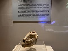 -咸宁市博物馆