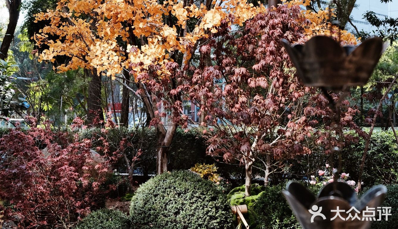 仿佛走进了日式京都庭院🏡