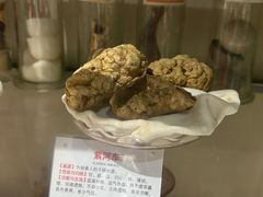 -广东中医药博物馆