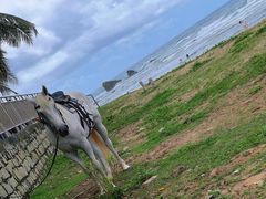 -日月湾海门游览区