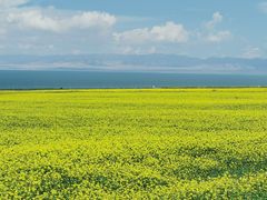 -青海湖国家重点风景名胜区