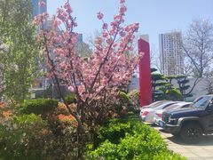 -烟台碧海饭店(烟台火车站店)