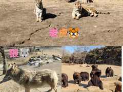-沈阳森林动物园