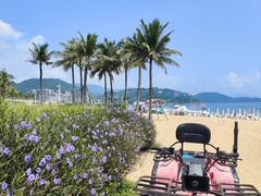 -大梅沙海滨公园