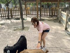 -水上乐园·欢乐世界