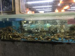 -老炉家木炭烤肉(长江国际店)