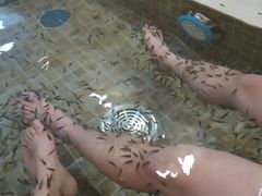 -中家鑫园温泉酒店鑫悦汤泉