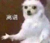 -宽窄巷子冒菜(中华广场店)