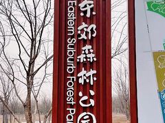 -东郊湿地公园