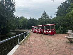 -长白岛森林公园