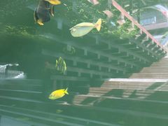 -东台西溪天仙缘景区