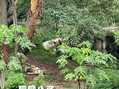 -深圳野生动物园