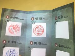 -萌宠奇缘