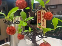 -椿记烧鹅(七星店)