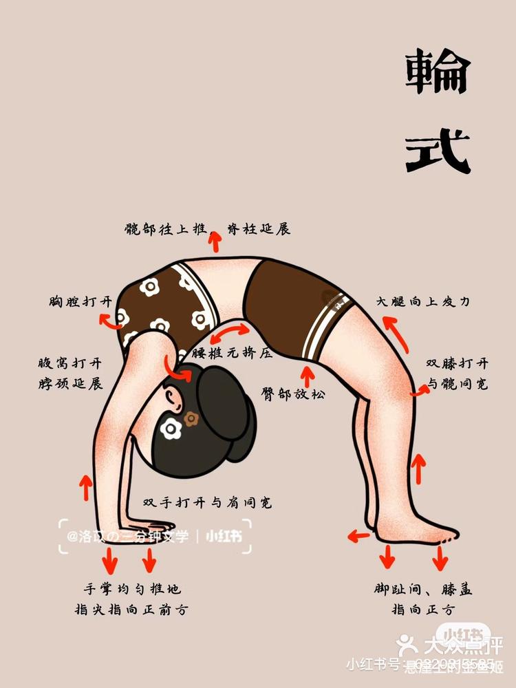 瑜伽体式轮式由浅入深新手也可以轻松解锁