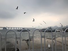 -星海广场